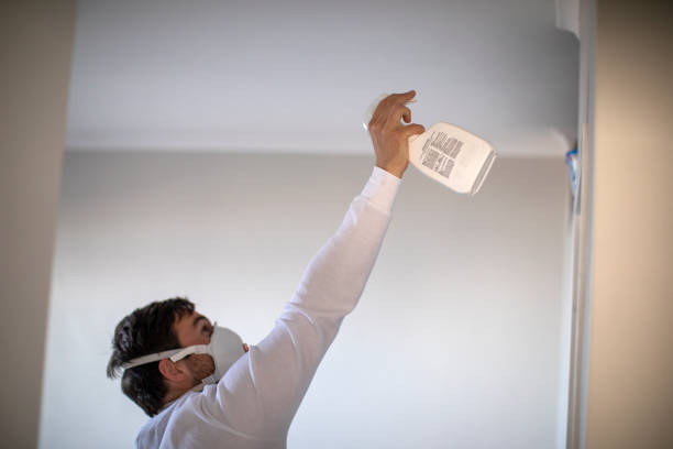Best Black Mold Remediation in Spencerport, NY