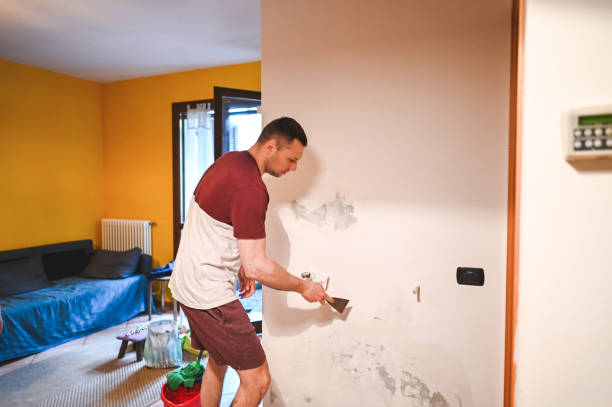 Best Mold Remediation for Schools in Spencerport, NY